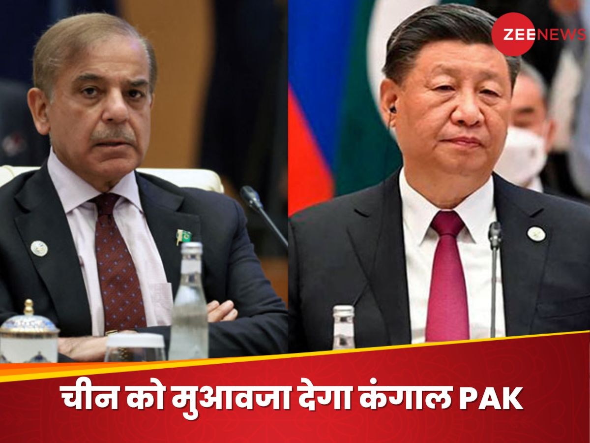 China Pakistan News: अपने नागरिकों पर आतंकी हमले से बिफरा था चीन, अब 'दिल पर पत्थर' रखकर मनाएगा PAK