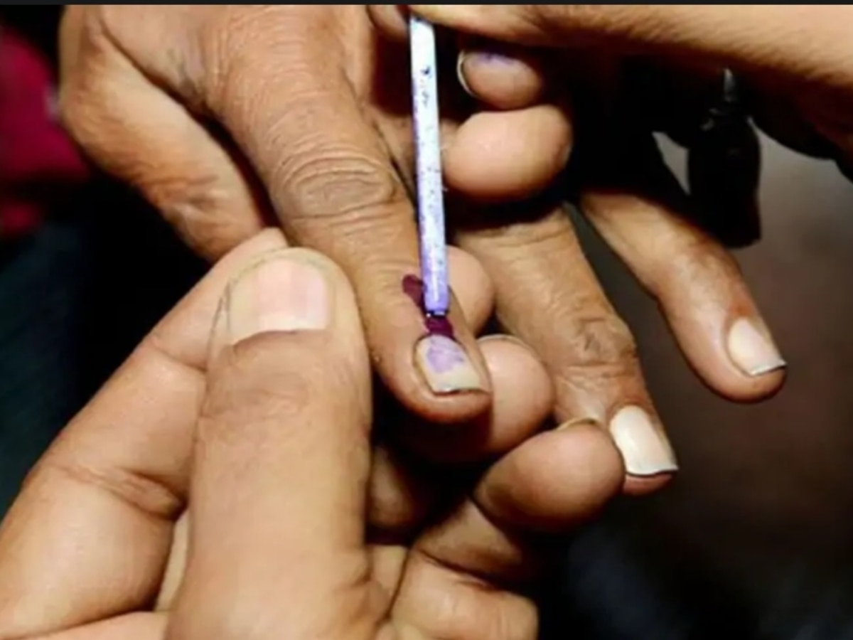 Haryana Lok Sabha Election: EVM और VVPAT मशीनें हुई सील, जानें हरियाणा की 10 सीटों पर कितने फिसदी हुआ मतदान