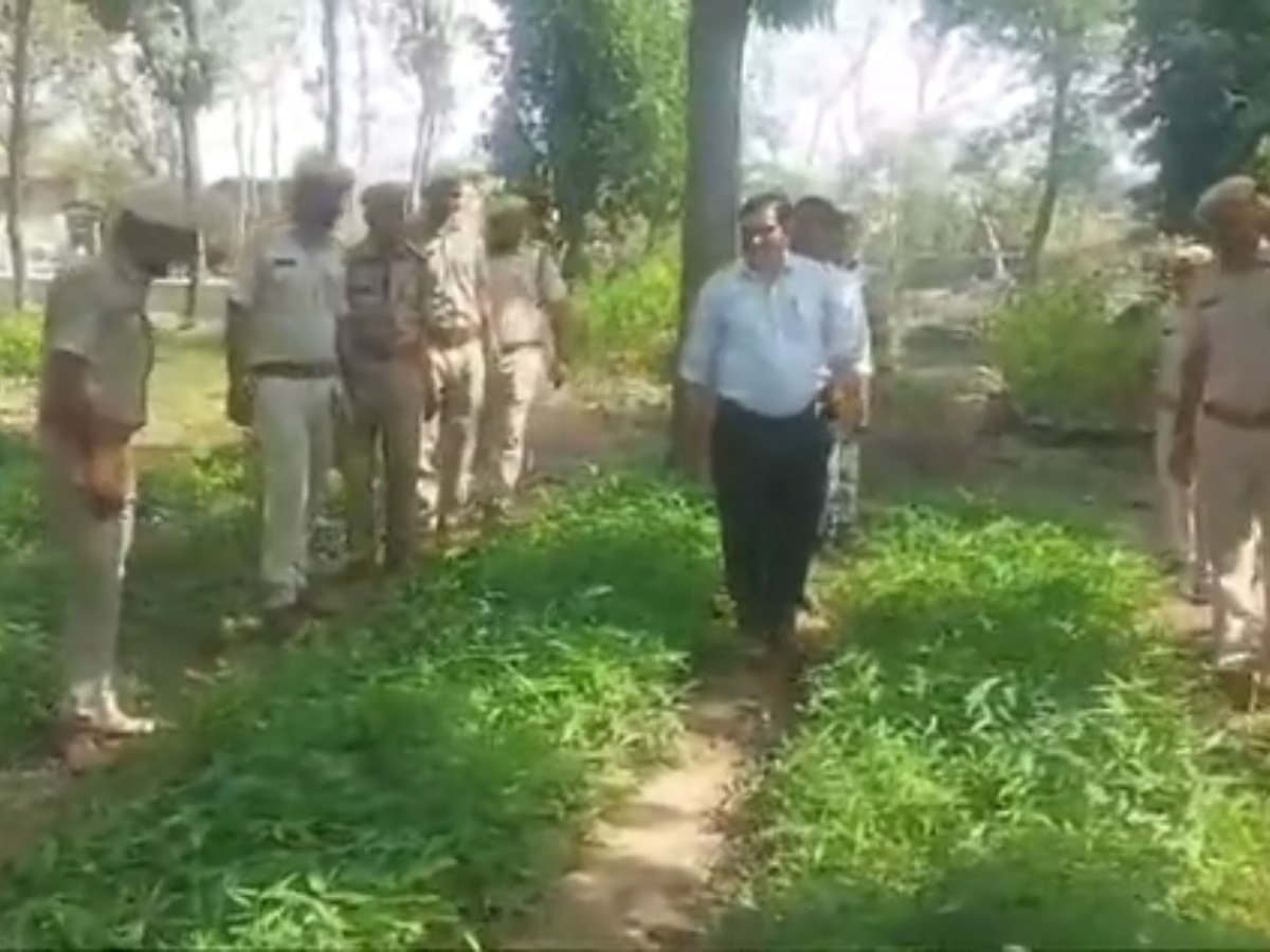 Pratapgarh News: मानसून में पौधरोपण तैयारी को दिया जा रहा अंतिम रूप, जायजा लेने DFO हरिकिशन सारस्वत पहुंच नर्सरी