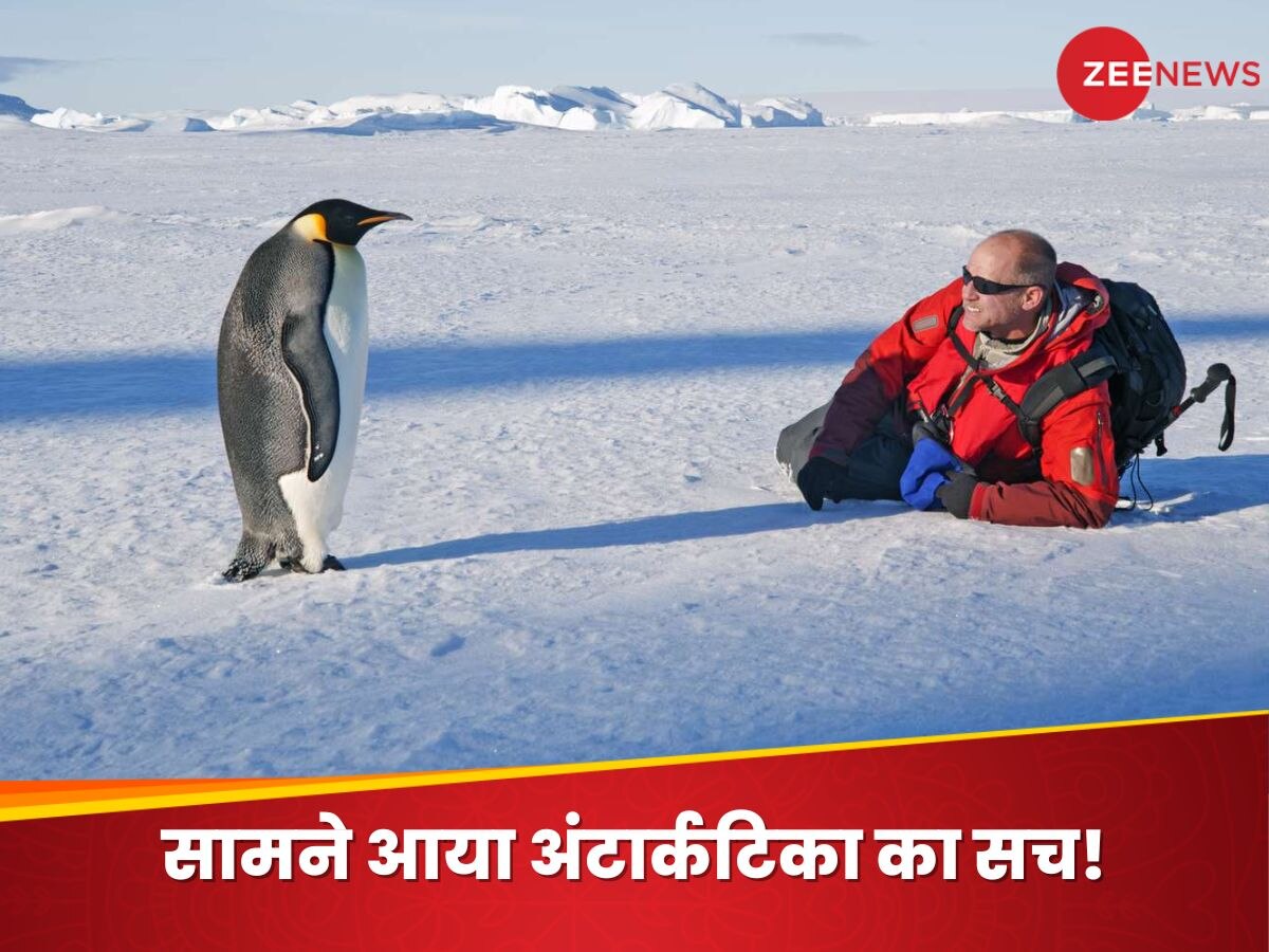 Antarctica: क्या अब महामारियों से अंटार्कटिका भी नहीं रहा अछूता? दुनिया का टूटा 'भ्रम', नई स्टडी ने चौंकाया