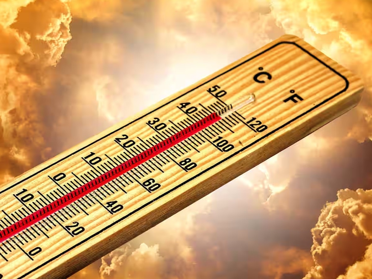 Weather News: हिमाचल प्रदेश में 34 से 35 डिग्री से​ल्सियस के बीच चल रहा तापमान, 7 जिलों में अलर्ट जारी  