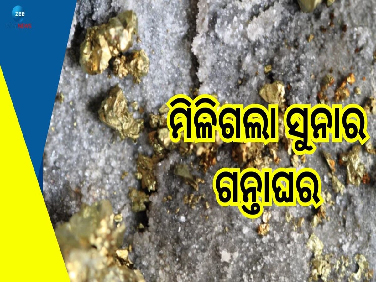 Gold Reserve: ଚକିତ କଲା ସର୍ଭେ, ଏଇଠି ରହିଛି ସବୁଠାରୁ ଅଧିକ ସୁନାଖଣି 