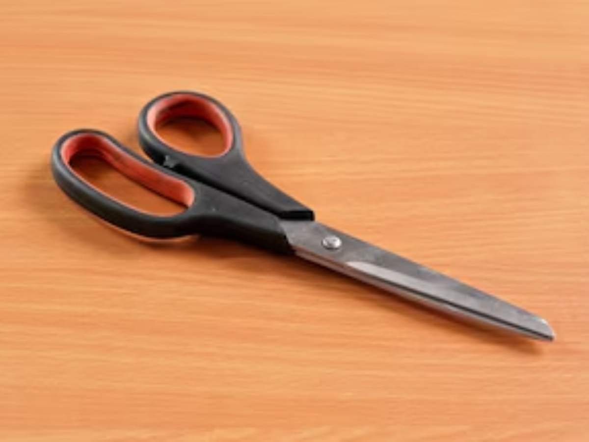 Scissors Vastu Tips: आप भी करते हैं कैंची से जुड़ी ये गलतियां? अभी तुरंत जान लें घर में रखने के सही नियम