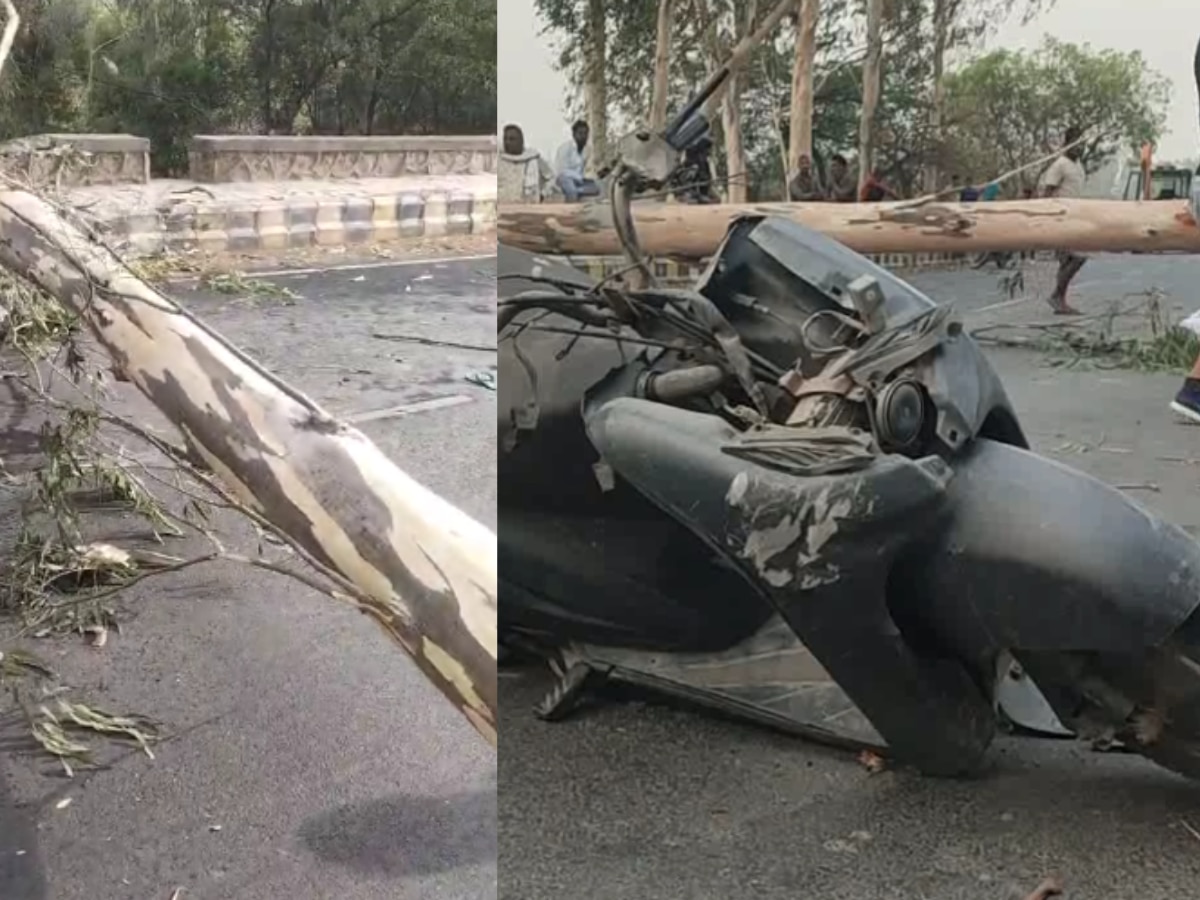 Delhi Accident: तेज आंधी-तूफान की वजह से गिरे पेड़, 2 युवकों की हुई मौत और एक ही हालत गंभीर 