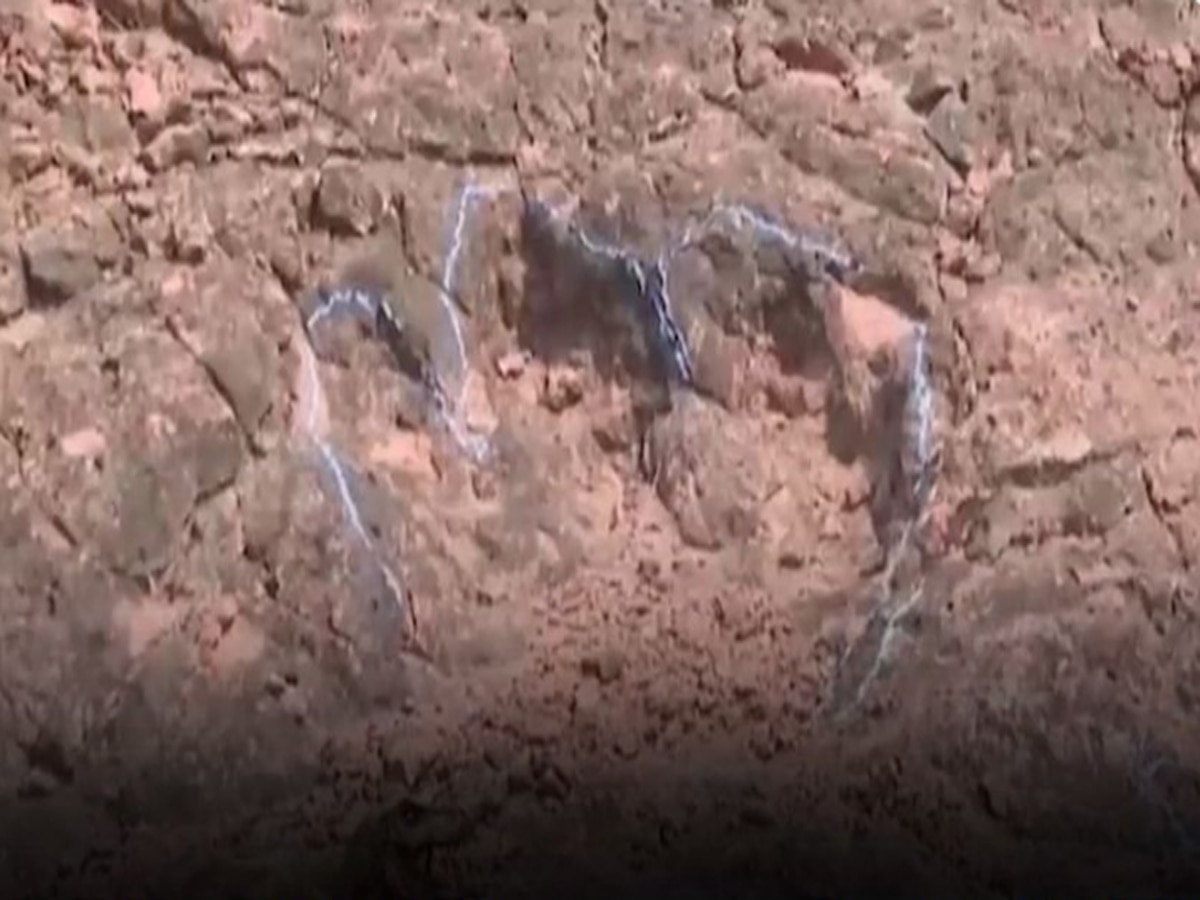 Dinosaur: डायनासोर के फुटप्रिंट का फुलप्रूफ सबूत, चीन में 120 मिलियन वर्ष पुरानी चट्टान पर मिले निशान