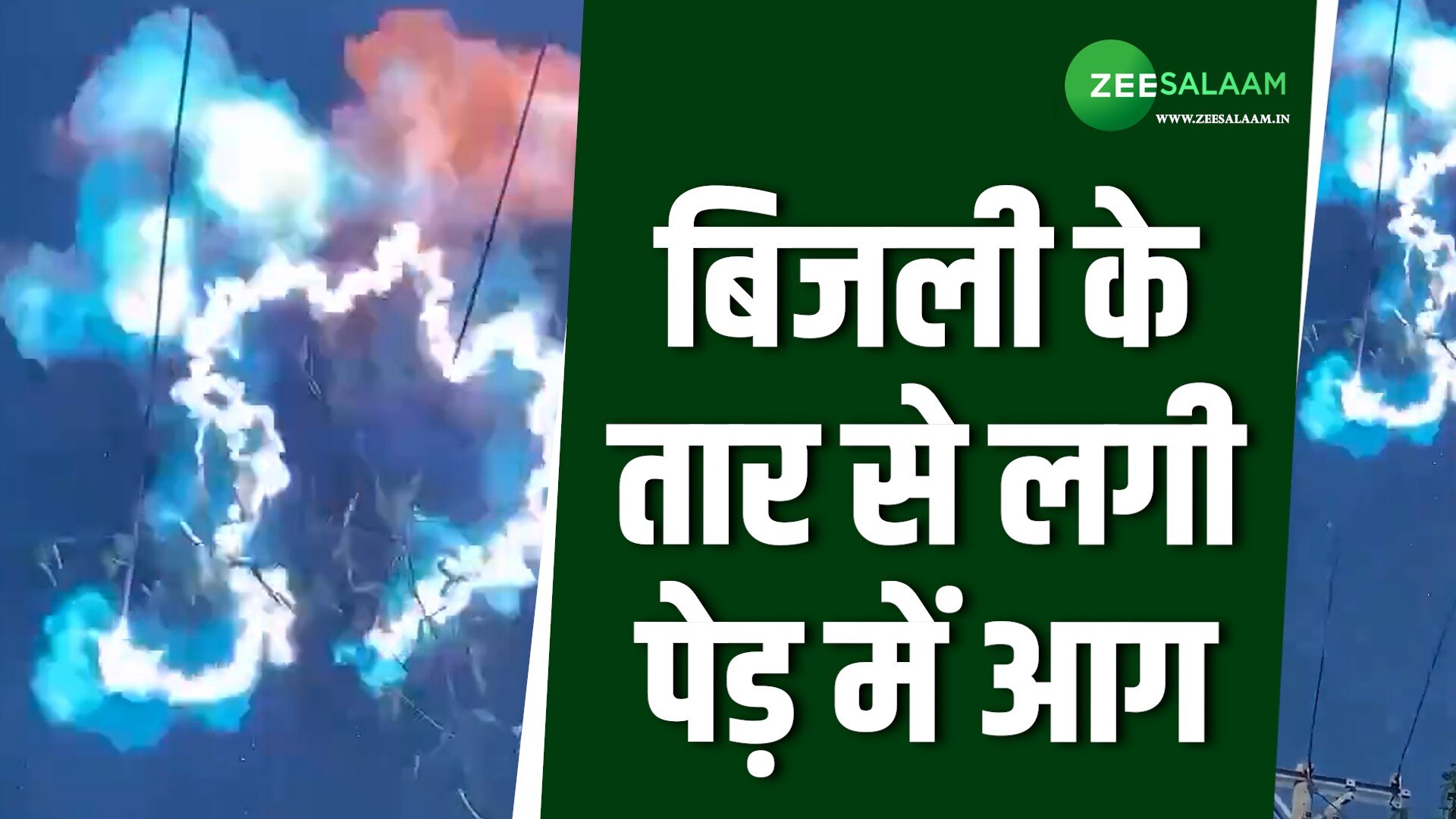 dangerous video tree caught fire due to electrical wire