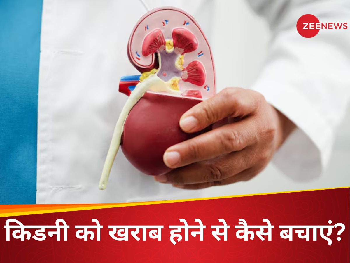 Kidney Health Tips: गर्मी के असर से खराब हो सकती है किडनी, इन लक्षणों के दिखने से पहले कर लें ये 4 उपाय