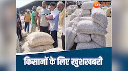MP में इस फसल की सालभर रहती है डिमांड, भाव सुनकर किसान भी हो जाएंगे खुश
