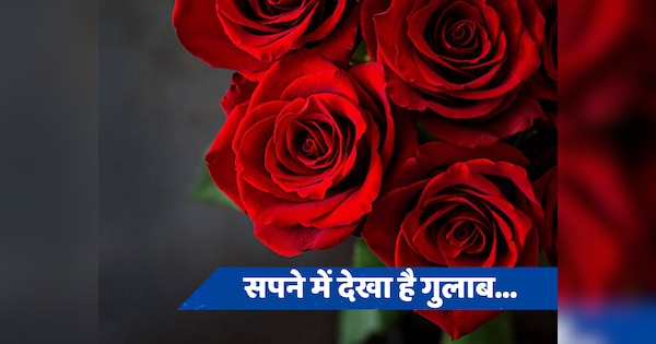 Seeing red rose in dream is auspicious or inauspicious know what does ...