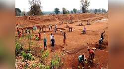 Mnrega Scam: मनरेगा घोटाला! जेल में बंद कैदी के नाम से भी निकल गया मजदूरी का भुगतान