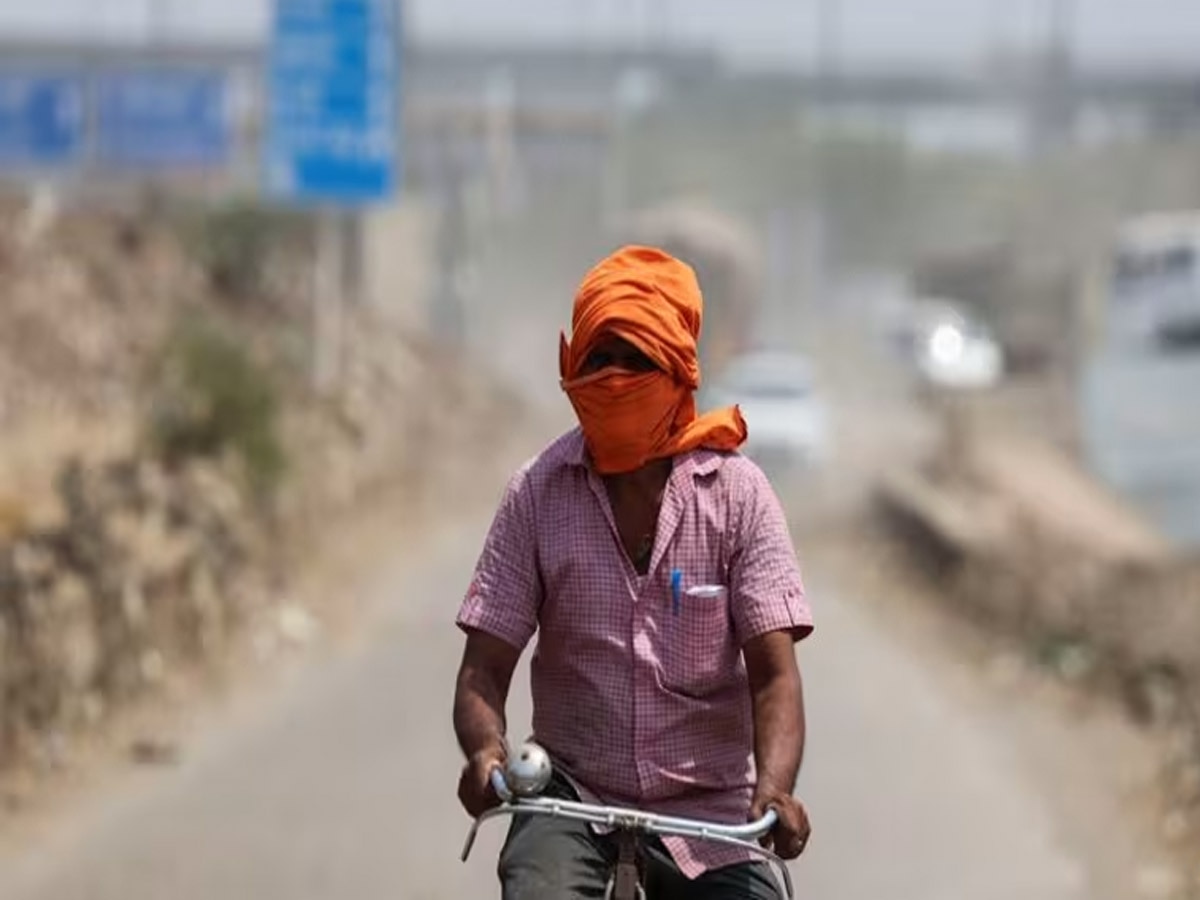 Rajasthan HC on Heatwave: कोर्ट ने जारी किए दिशा निर्देश; "राष्ट्रीय आपदा" घोषित करने की जरूरत