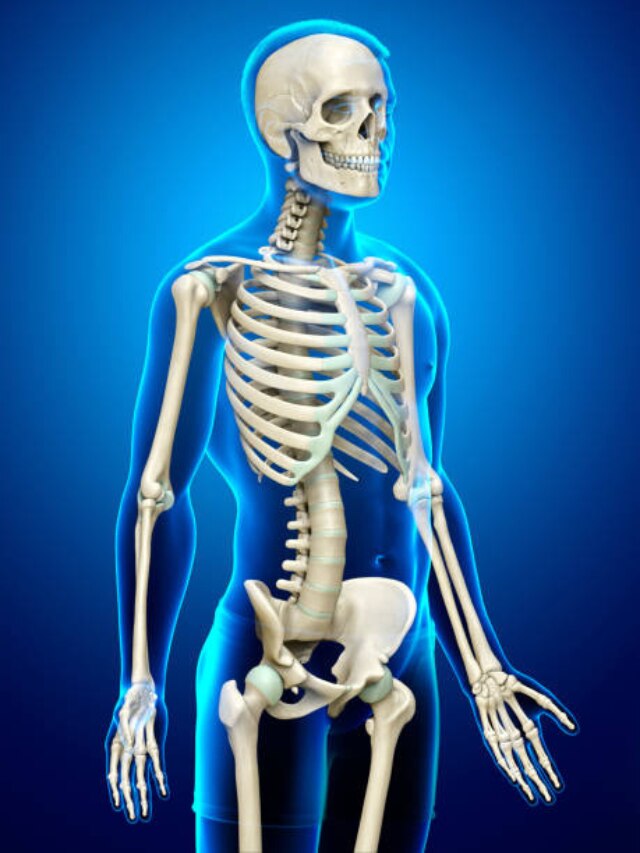 शरीर की कौनसी हड्डी होती है सबसे ज्यादा मजबूत? स्टील को देती है टक्कर