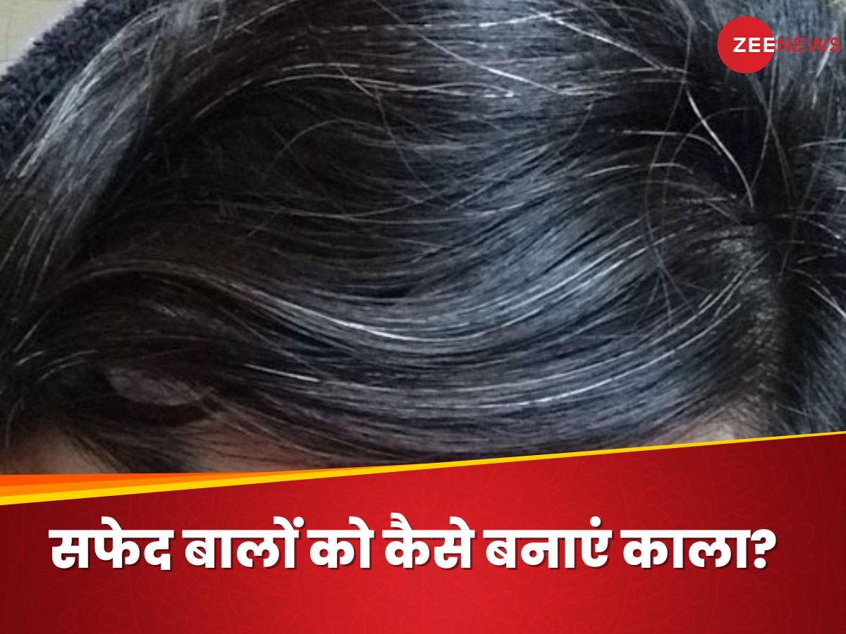 White Hair Problems: 30 साल के होने से पहले ही बालों में आ गई सफेदी? डार्क हेयर के लिए करें ये उपाय