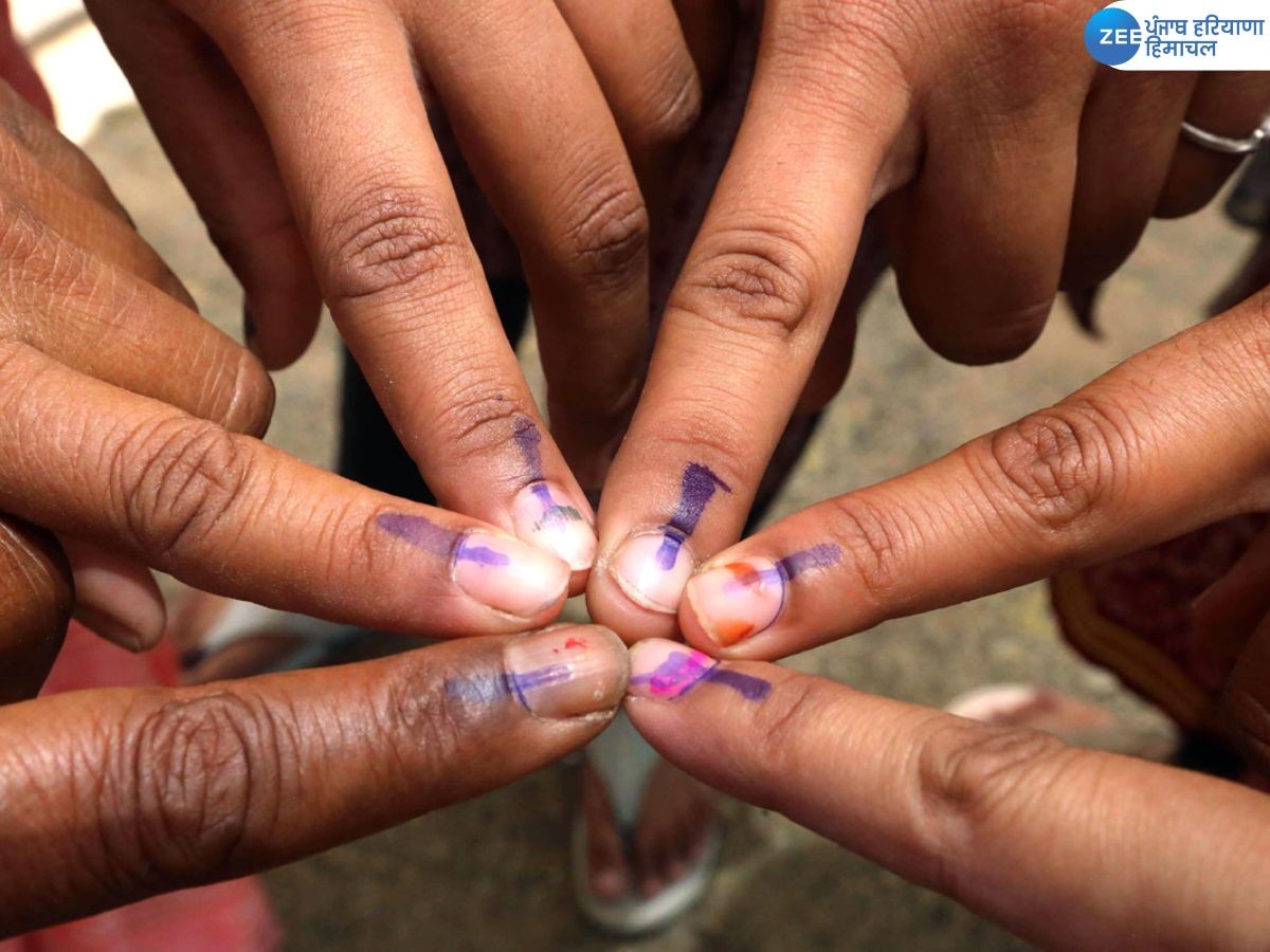 Chandigarh LOK Sabha Elections 2024: चंडीगढ़ लोकसभा सीट पर 67.90% मतदान