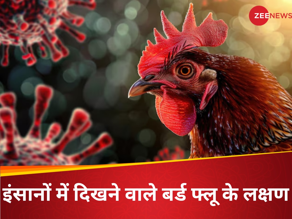 Bird Flu Symptoms: फिर बर्ड फ्लू की चपेट में दुनिया, डेयरी प्रोडक्ट खाने वाले Bird Flu के ये 10 लक्षण दिखते ही तुरंत भागे डॉ. के पास