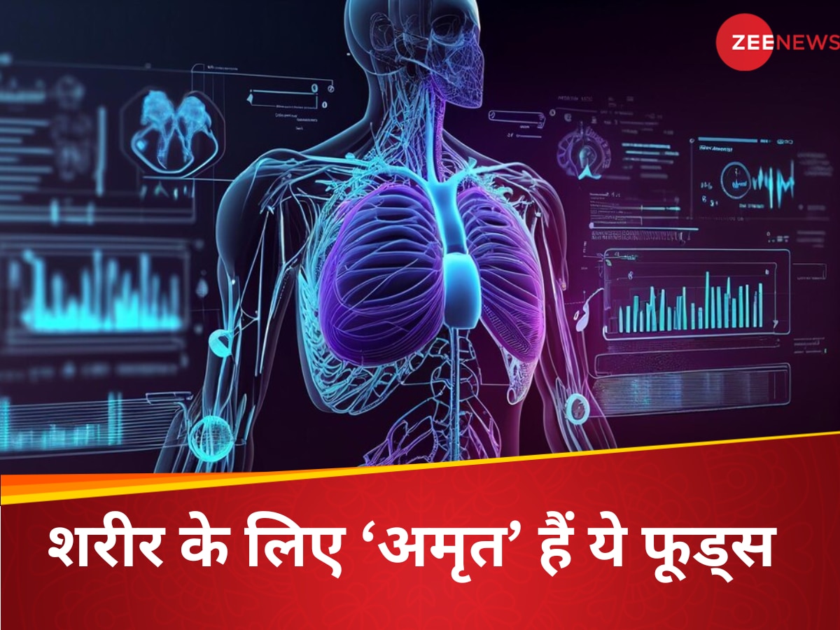 आपके किचन में रखीं ये 5 चीजें 'अमृत' से कम नहीं, खाने से लिवर से लेकर हार्ट तक अंग-अंग हो जाते हैं दुरुस्त