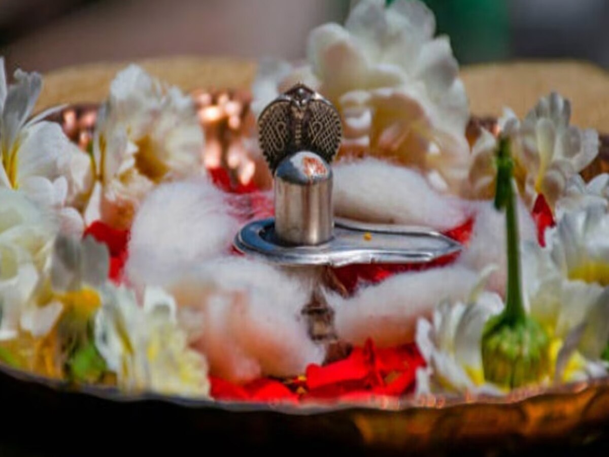 Masik Shivratri and Pradosh Vrat: एक व्रत करने से मिलेगा दो का फल, जानिए क्‍यों महत्‍वपूर्ण है 4 जून का दिन?