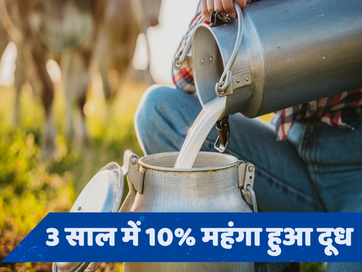 Amul और Mother Dairy के दूध की रेट क्यों बढ़ी, क्या इसके लिए सरकार जिम्मेदार?