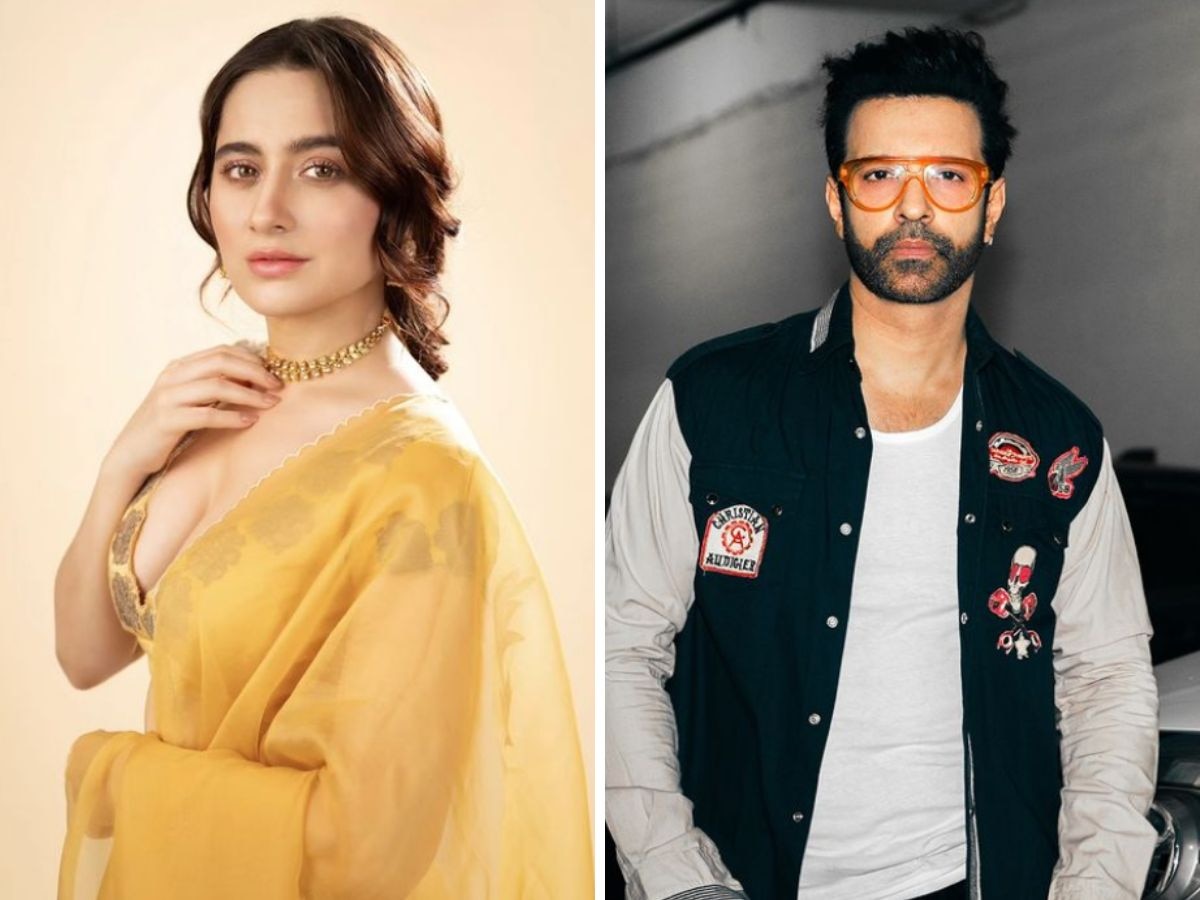 Sanjeeda Shaikh On Aamir Ali