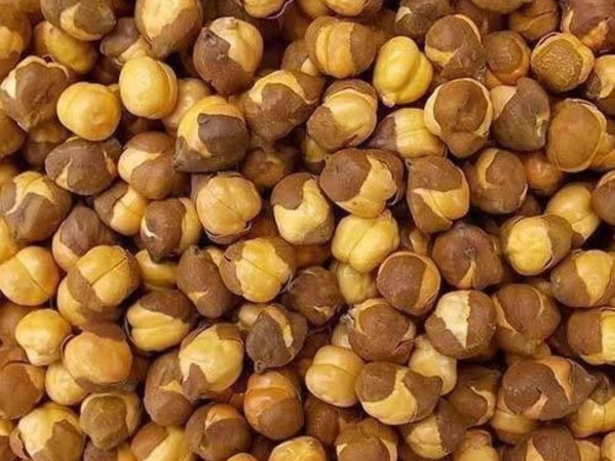 Roasted or boiled which gram is beneficial for health | भुना या उबला ...