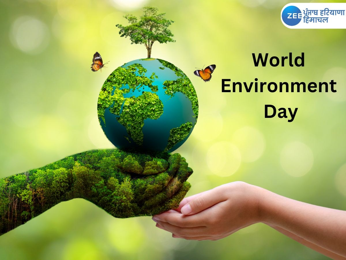 World Environment Day 2024: ਅੱਜ ਹੈ ਵਿਸ਼ਵ ਵਾਤਾਵਰਣ ਦਿਵਸ! ਵਧਦੇ ਤਾਪਮਾਨ ਨੂੰ ਕੰਟਰੋਲ ਕਰਨ ਲਈ ਲੋਕਾਂ ਨੂੰ ਭੇਜੋ ਜਾਗਰੂਕ ਸੰਦੇਸ਼ 