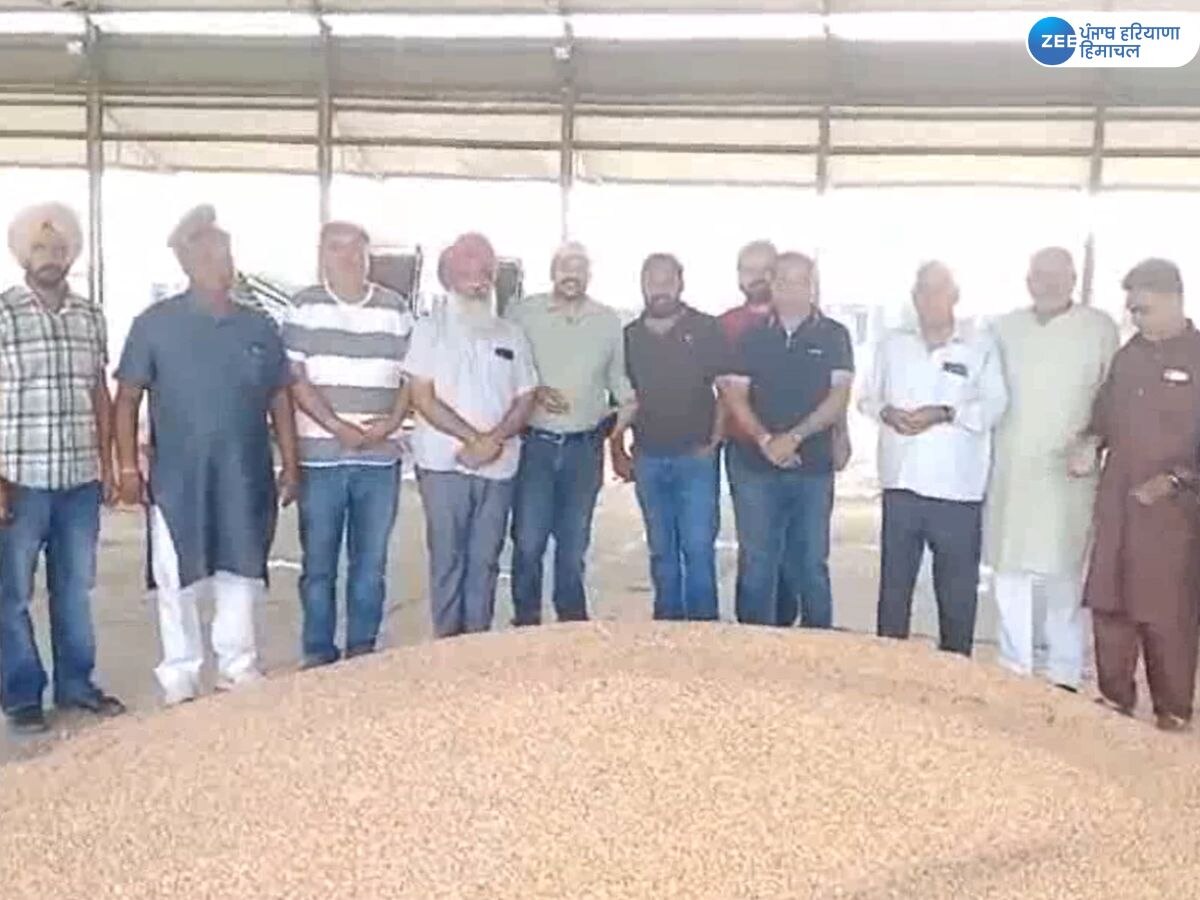 Agriculture News: ਮੰਡੀ 'ਚ ਮੱਕੀ ਦੀ ਆਮਦ ਸ਼ੁਰੂ, ਰਿਕਾਰਡਤੋੜ ਭਾਅ 2421 ਰੁਪਏ ਪ੍ਰਤੀ ਕੁਇੰਟਲ ਵਿਕੀ ਫ਼ਸਲ