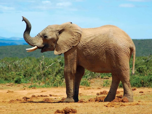 ସୌଜନ୍ୟ-ସୋସିଆଲ୍ ମିଡିଆ