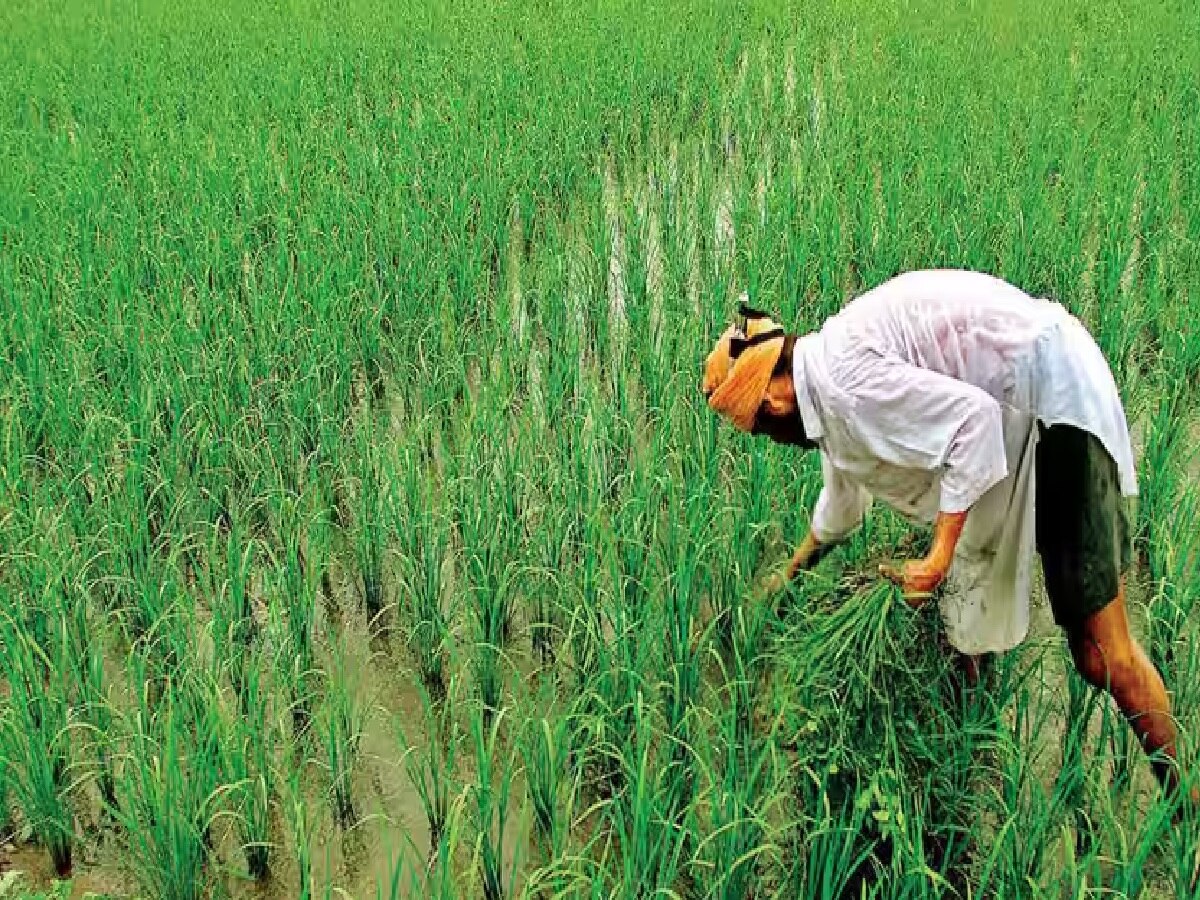 प्रधानमंत्री किसान समृद्धि योजना