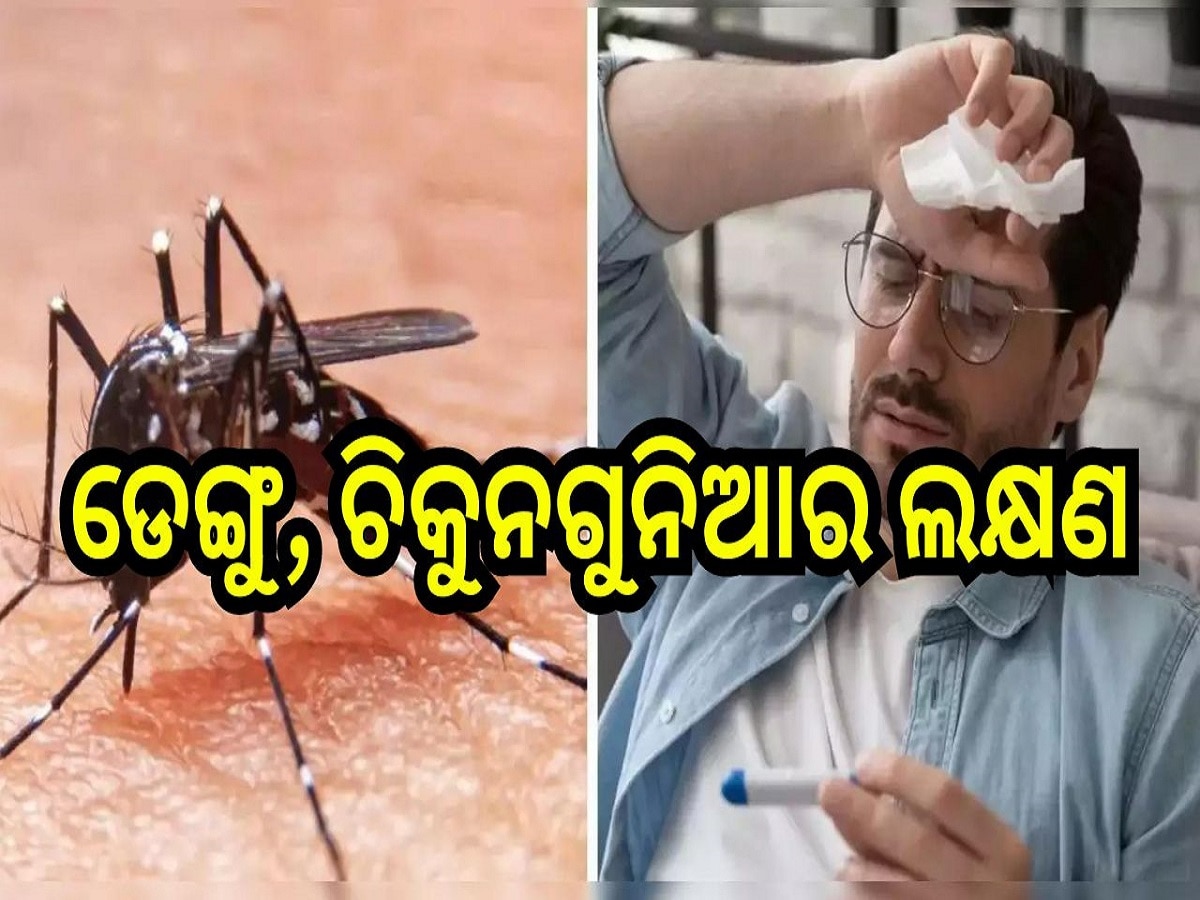 Dengue and Chikungunya: ଡେଙ୍ଗୁ, ଚିକୁନଗୁନିଆ ହେବା ପୂର୍ବରୁ ଶରୀରରେ ଦେଖା ଦେଇଥାଏ ଏହି ସବୁ ଲକ୍ଷଣ...