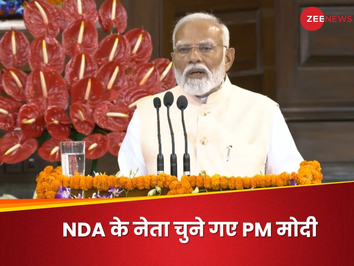 NDA Meeting: सरकार चलाने के लिए सिर्फ बहुमत जरूरी, लेकिन देश चलाने के लिए... NDA की बैठक में क्या-क्या बोले PM मोदी 