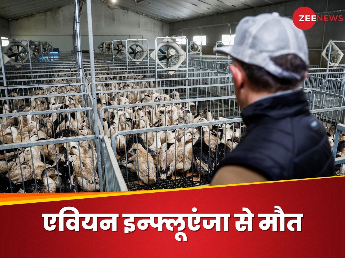 H5N2 Bird Flu से मरने वाले पहले इंसान ने बढ़ाई टेंशन, दुनिया को हो सकता है ऐसा खतरा