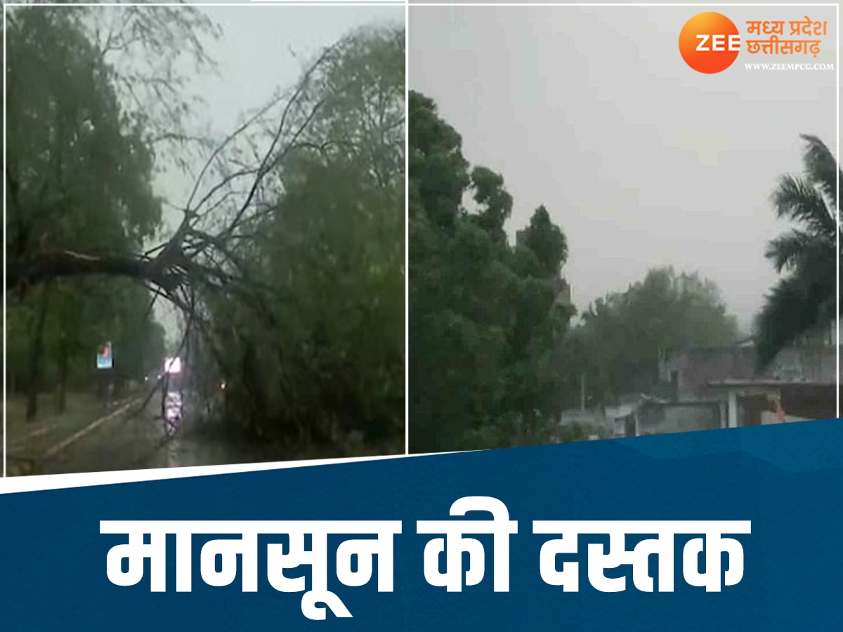 Weather Update: इस दिन मानसून लेगा छत्तीसगढ़ में एंट्री! प्रदेश भर में होगी झमाझम बारिश 