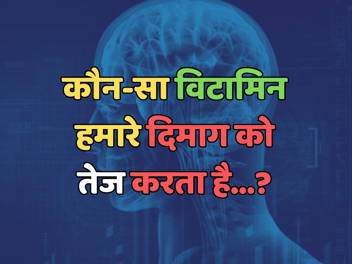 Trending Quiz : कौन-सा विटामिन हमारे दिमाग को तेज करता है? Trending Quiz : कौन-सा विटामिन हमारे दिमाग को तेज करता है?