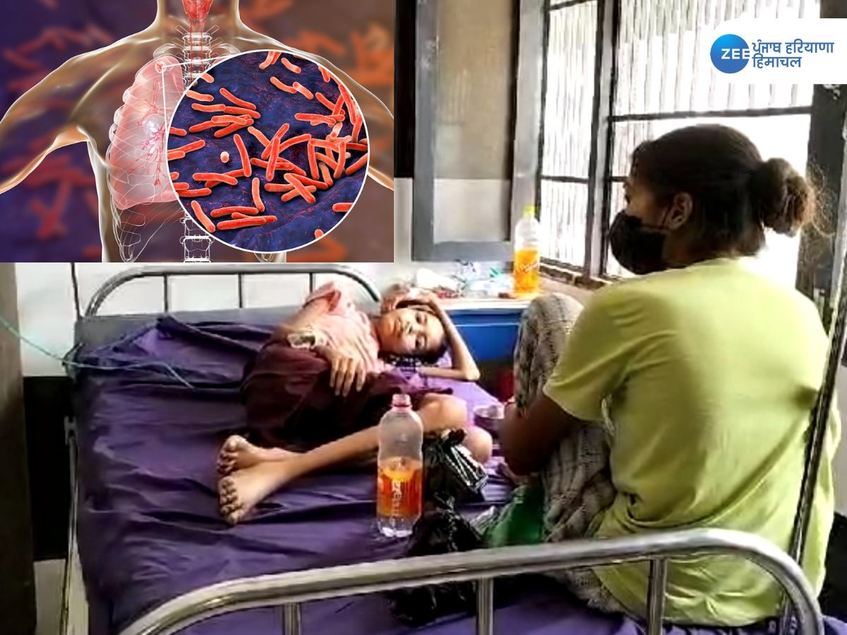 Ferozepur TB disease: ਫਿਰੋਜ਼ਪੁਰ 'ਚ ਪੂਰਾ ਪਰਿਵਾਰ ਹੋਇਆ ਟੀਬੀ ਦੀ ਬਿਮਾਰੀ ਦਾ ਸ਼ਿਕਾਰ, ਮਦਦ ਦੀ ਲਗਾਈ ਗੁਹਾਰ 