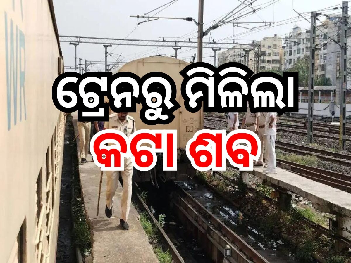 ୨ଟି ବ୍ୟାଗରେ ଥିଲା କଟା ହୋଇଥିବା ଶବ, ଟ୍ରେନରୁ ଜବତ କଲା ଜିଆରପି