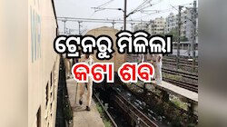 ୨ଟି ବ୍ୟାଗରେ ଥିଲା କଟା ହୋଇଥିବା ଶବ, ଟ୍ରେନରୁ ଜବତ କଲା ଜିଆରପି