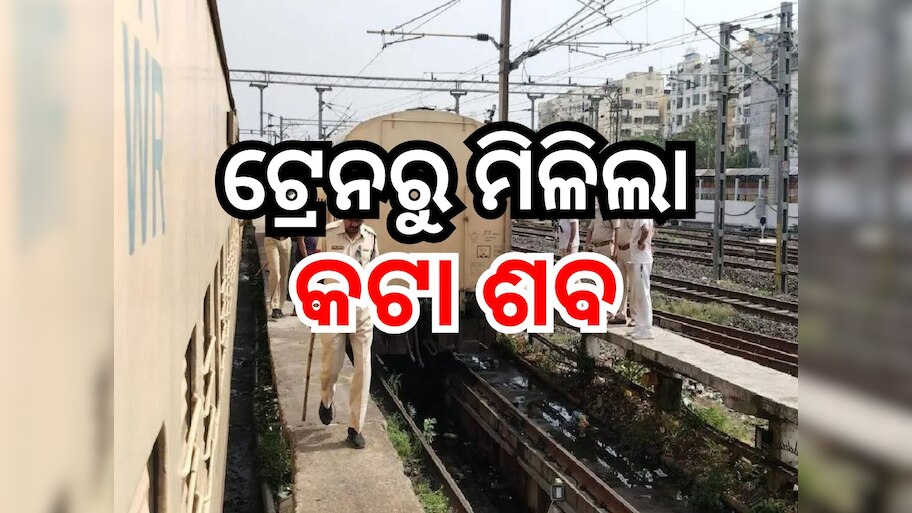 ୨ଟି ବ୍ୟାଗରେ ଥିଲା କଟା ହୋଇଥିବା ଶବ, ଟ୍ରେନରୁ ଜବତ କଲା ଜିଆରପି