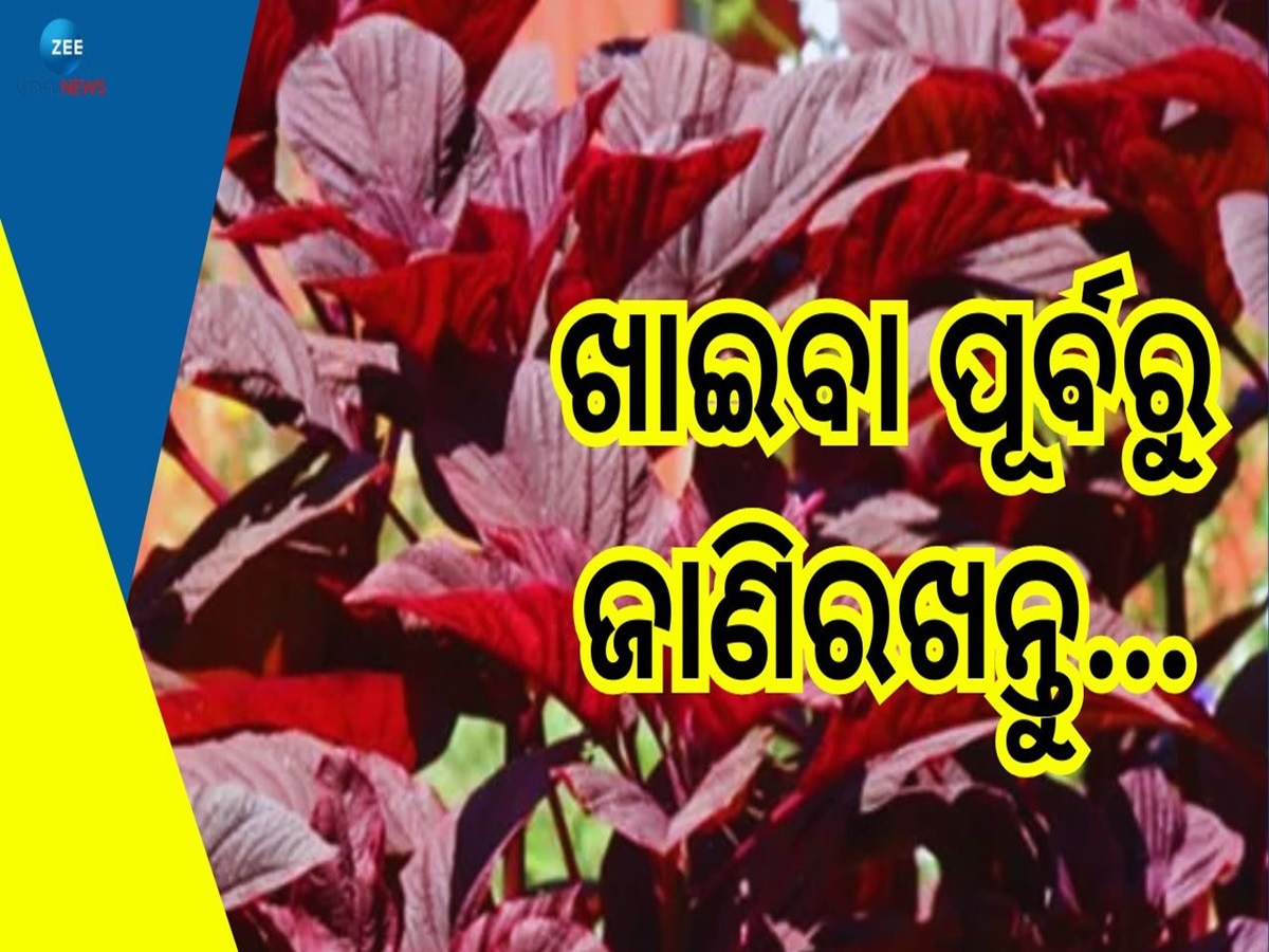 Red Spinach Benefits: କୋଶଳା ଶାଗ ଖାଉଛନ୍ତି କି? ଜାଣିରଖନ୍ତୁ ଏହି ୭ଟି ବଡ଼କଥା