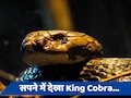Swapna Shastra: सपने में किंग कोबरा दिखना क्या होता है अशुभ, जानें क्या कहता है स्वप्न शास्त्र 