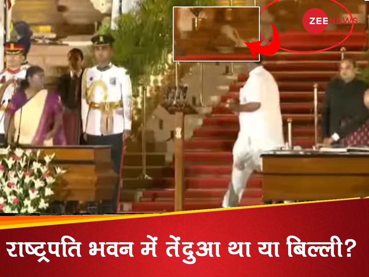 राष्ट्रपति भवन में तेंदुआ था या बिल्ली? दिल्ली पुलिस ने आखिरकार कर ही दिया खुलासा, दिया ऐसा जवाब