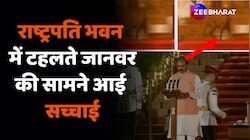 शपथ के दौरान Rashtrapati Bhavan में रहस्यमयी जानवर Leopard था या Cat? Delhi Police 