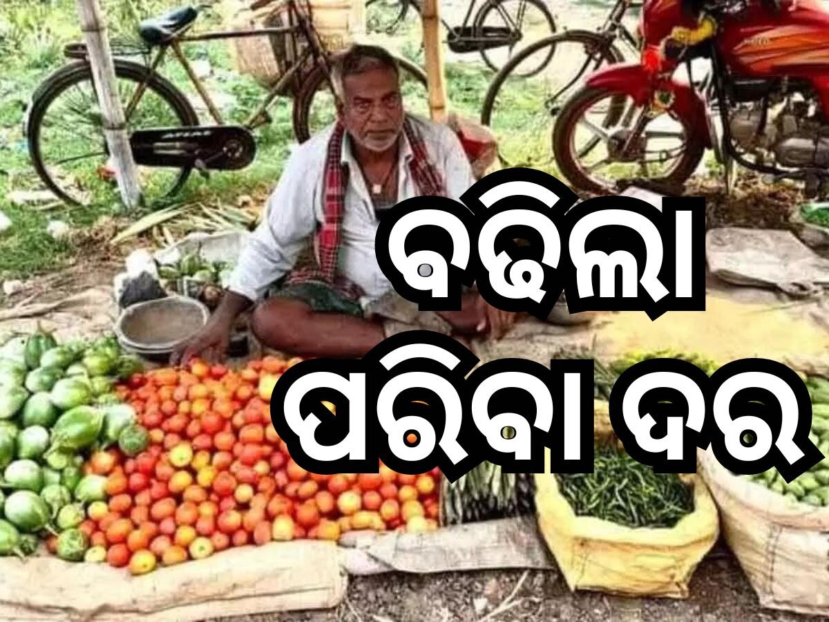 ବଢିଲା ପନିପରିବା ଦର, ୫ଶହ ଟଙ୍କାରେ ପୁରୁନି ବ୍ୟାଗ୍