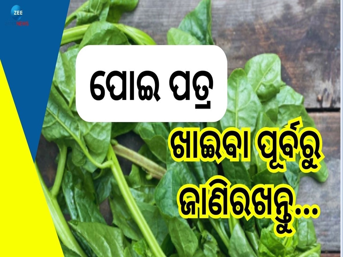 Poi Saag Benefits: ପୋଇ ଶାଗ ଖାଉଛନ୍ତି କି? ଖାଇବା ପୂର୍ବରୁ ଜାଣିରଖନ୍ତୁ ଏହି ଜରୁରୀ କଥା