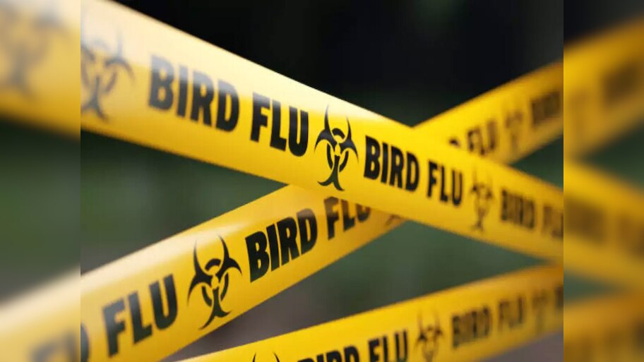 H9N2 Bird Flu Case: भारत में बर्ड फ्लू का मामला, 4 साल के बच्चे में मिला वायरस