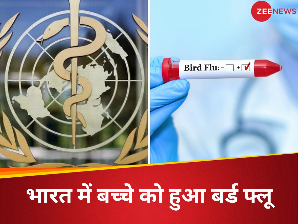 भारत में 5 साल बाद इंसान हुआ Bird Flu का शिकार, WHO ने बताया 4 साल के बच्चे को हुआ H9N2 इंफेक्शन; डॉ. से जानें बचाव के उपाय