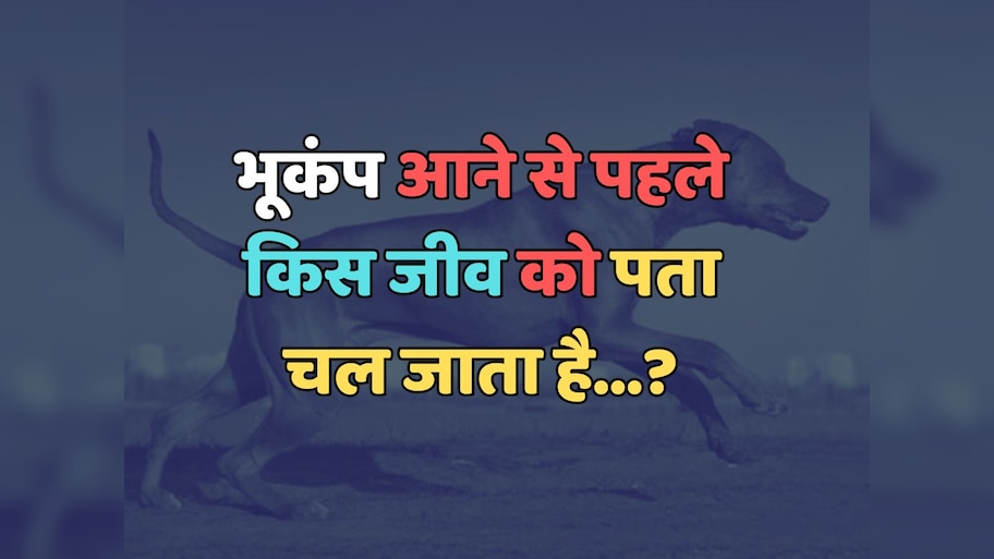 Trending Quiz : भूकंप आने से पहले किस जीव को पता चल जाता है?