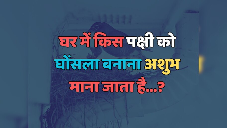 Trending Quiz : घर में किस पक्षी को घोंसला बनाना अशुभ माना जाता है?