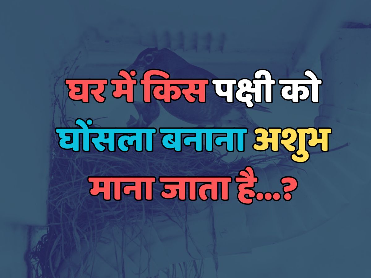 Trending Quiz : घर में किस पक्षी को घोंसला बनाना अशुभ माना जाता है? Trending Quiz : घर में किस पक्षी को घोंसला बनाना अशुभ माना जाता है?