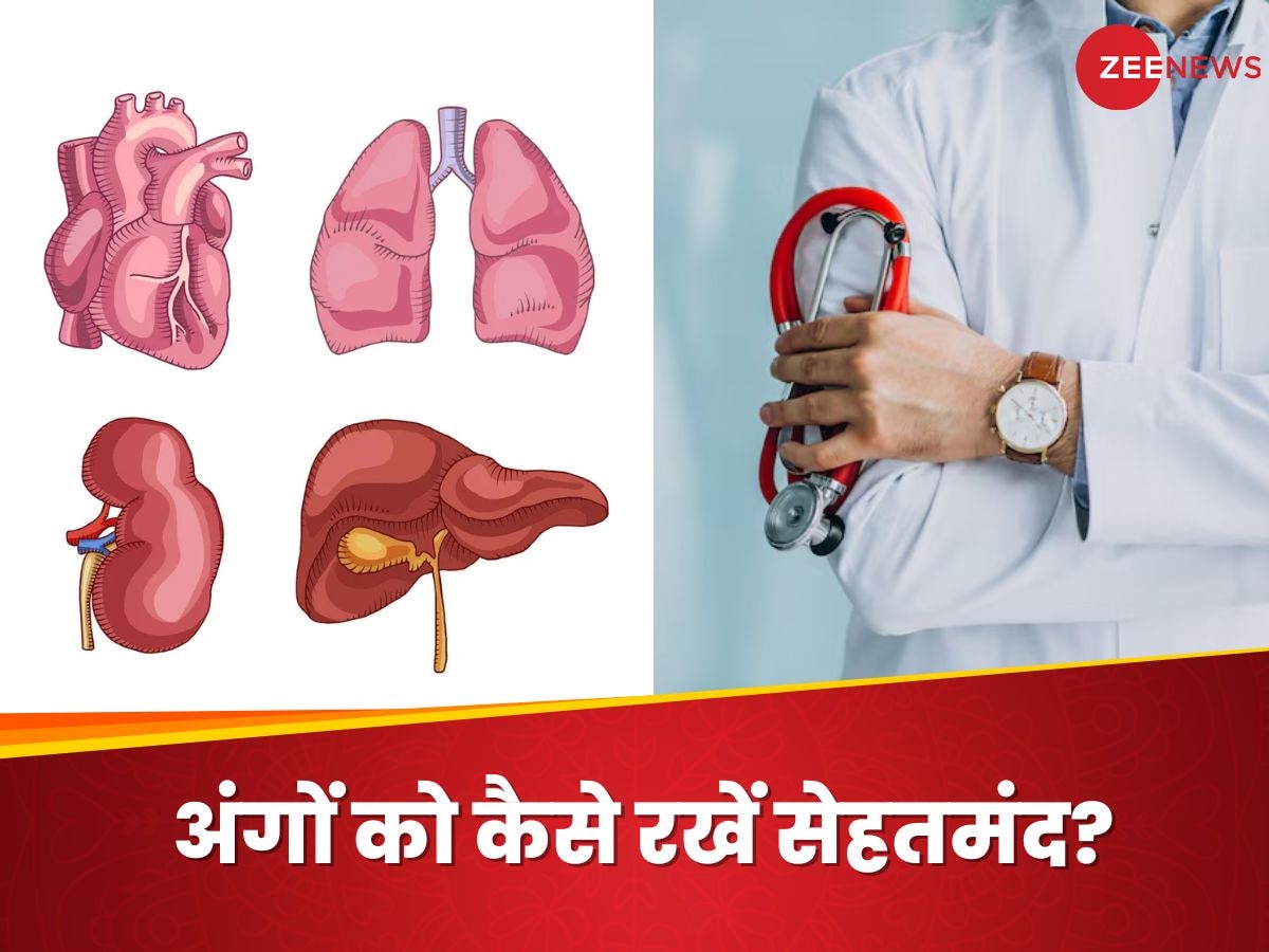 लिवर, लंग्स, दिल और किडनी को कैसे रखें हेल्दी? डॉक्टर ने दिए जरूरी टिप्स, जरूर करें फॉलो