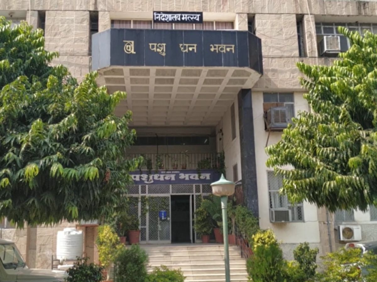 Jaipur News:पशुपालन डिप्लोमा संस्थान को लेकर विभाग ने जारी की नई नीति,जानिए क्या? Jaipur News:पशुपालन डिप्लोमा संस्थान को लेकर विभाग ने जारी की नई नीति,जानिए क्या?